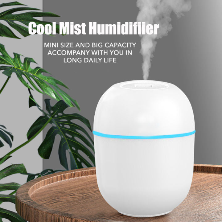 Mini Air Humidifier USB Aromatherapy Diffuser