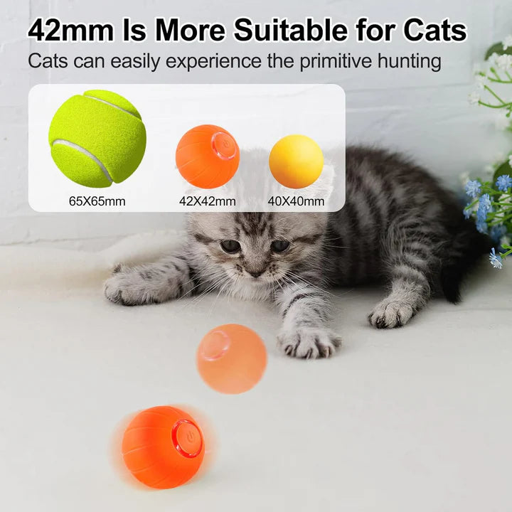 Smart Bouncing Ball Pet Toy