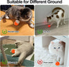 Smart Bouncing Ball Pet Toy