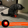 Smart Bouncing Ball Pet Toy